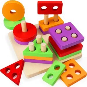 Shape Sorter Toy